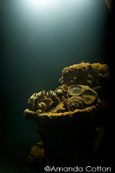 Mask in the interior of one of the many wrecks of Truk La... by Amanda Cotton 